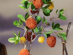 -新辣道鱼火锅(西直门店)