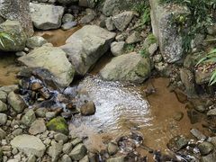 -海南霸王岭国家森林公园