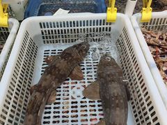-乐兴海鲜餐厅