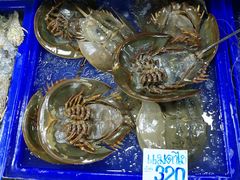 -芭提雅海鲜市场