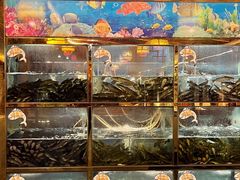 -三道苗苗鱼·美蛙黄辣丁(八里店)