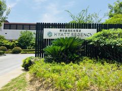 -上海崇明金茂凯悦酒店