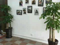 -鑫艺宠物美容培训学校