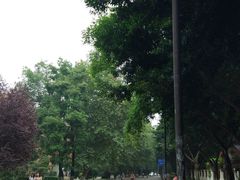 -四川大学(望江校区)