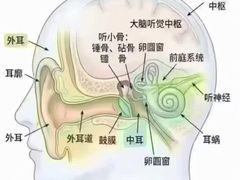 -自然之声助听器(平凉店)