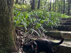 -遵义会议纪念馆