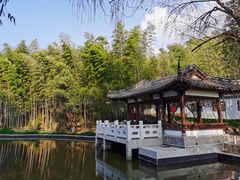 -求雨山文化公园