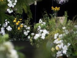 -天邑国际酒店·宴会厅