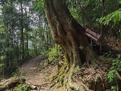 -千泷沟大瀑布旅游区