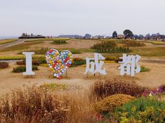 -空港花田景区