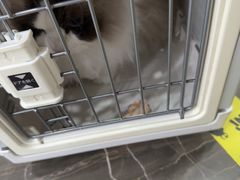 -宠爱国际动物医院·消化内科·心肾内科·ISFM猫友好(望京店)
