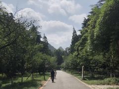 -花溪公园