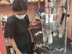-FAELING PETS美天灵宠物(合生汇店)