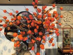 -福照楼汽锅鸡·云南菜(护国路店)