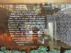 -元代水闸遗址博物馆