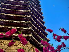 -玲珑塔公园