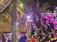 -正佳雨林生态植物园