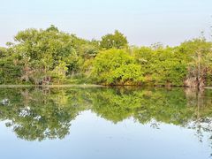 -烟水渔庄餐厅(西溪湿地店)