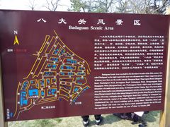 -八大关景区