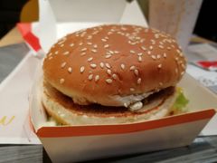 巨无霸-麦当劳(欧亚大观商都店)