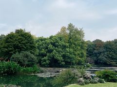 -杭州植物园
