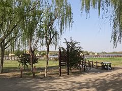 -西青郊野公园