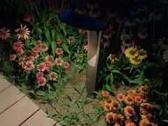 -汉长安城未央宫国家考古遗址公园