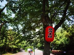 -龙寺生态园