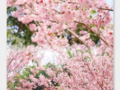 -福建鲤鱼洲酒店