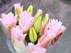 -循礼门鲜花花市(武汉循礼门店)