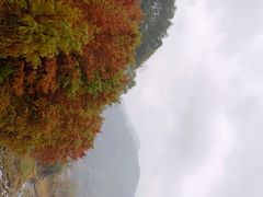 -宁波浙东大竹海景区