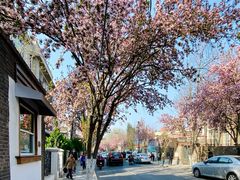 -天津五大道文化旅游区