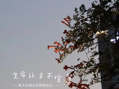 -瓦库茶馆17号(海汇港店)