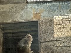 -黔灵山公园