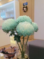 -ROYEA茹彦祛痘·问题肌肤修护中心