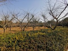 -同里国家湿地公园