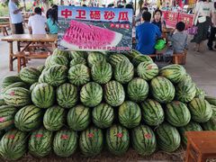餐饮设施-水洞沟旅游区