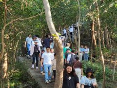 -紫金山山顶公园