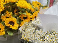 -循礼门鲜花花市(武汉循礼门店)