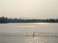 -石家庄市植物园