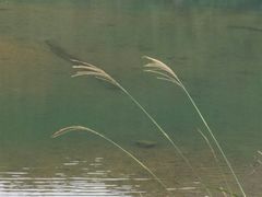 -东天目山风景区