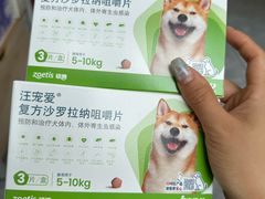 -美联众合爱康动物医院•复杂内科•肿瘤科•牙科•腔镜诊疗中心
