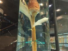 -广东中医药博物馆