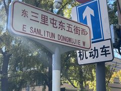-三里屯东五街银杏大道