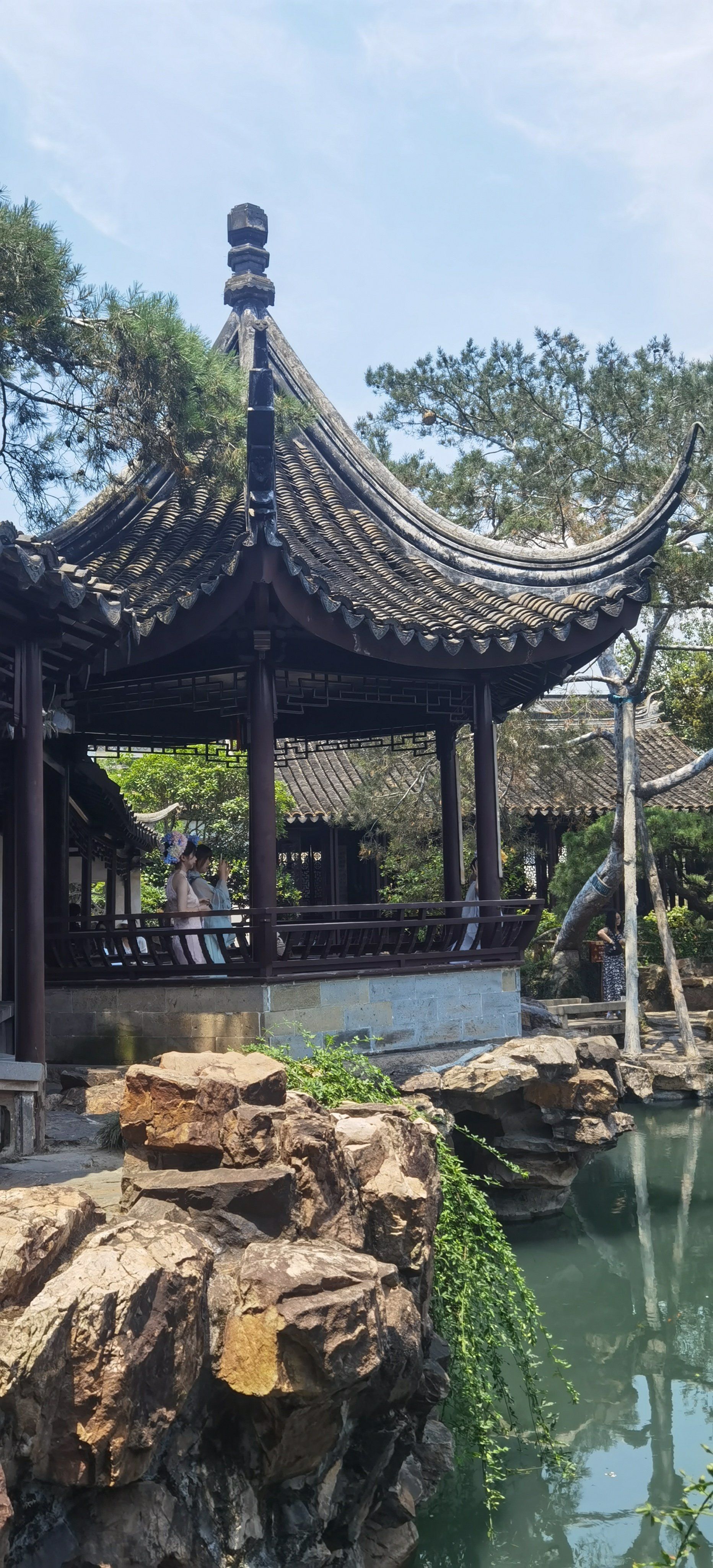 星期天去苏州网师园游玩了一趟,里面风景不错