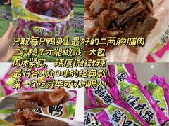 -郴州特产舜华临武鸭(郴州西站店)