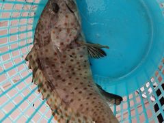 -湛江海鲜餐厅