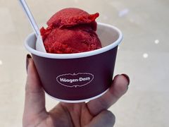 -哈根达斯(龙湖时代天街店)