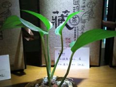 android_upload_pic-一叶一世界•素食餐厅(环球中心店)