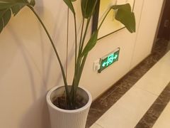 -华夏良子·足道SPA艾灸(开源店)